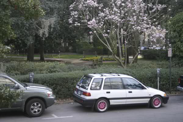 145.jpg