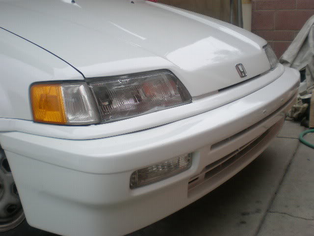 250.jpg