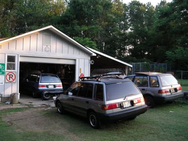 335.jpg