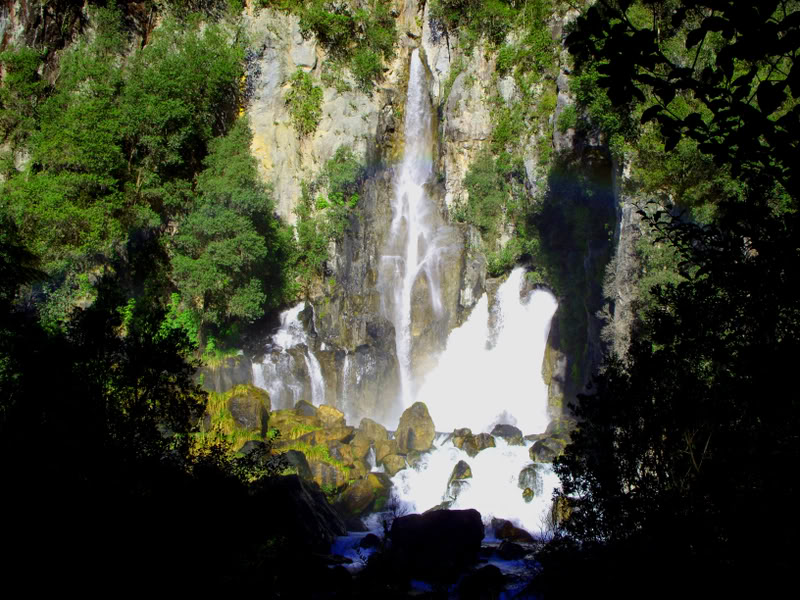164.jpg