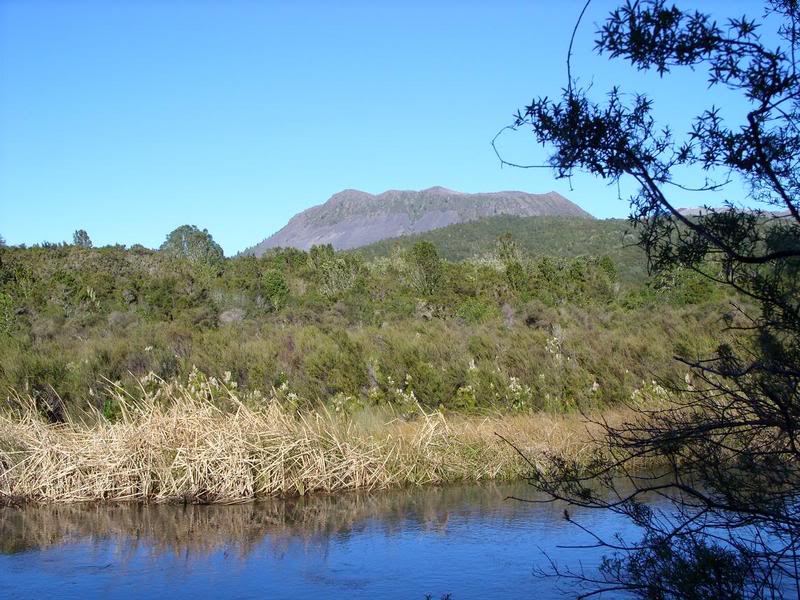 165.jpg