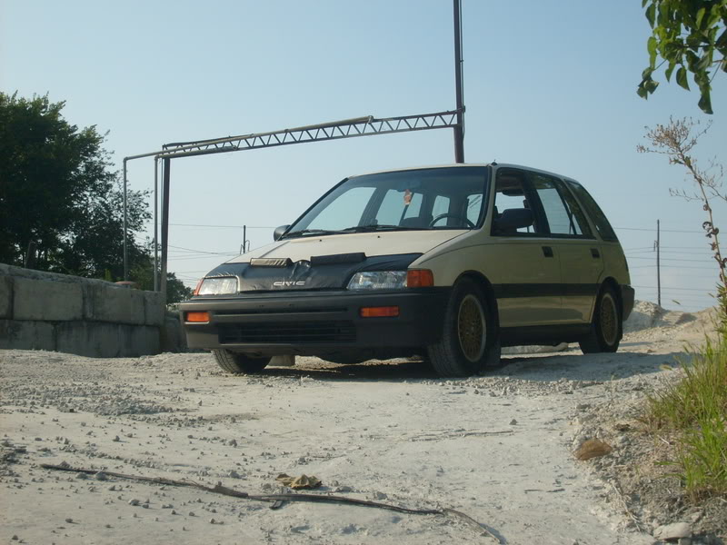 263.jpg