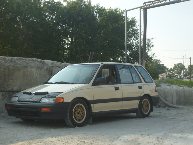 266.jpg