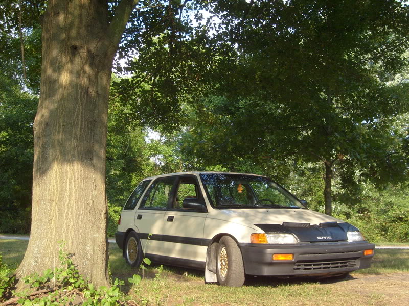277.jpg
