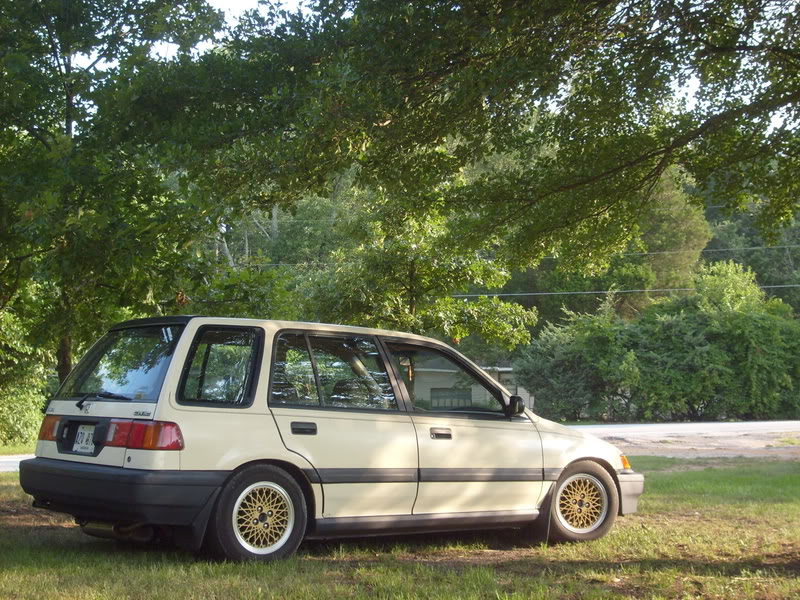 278.jpg