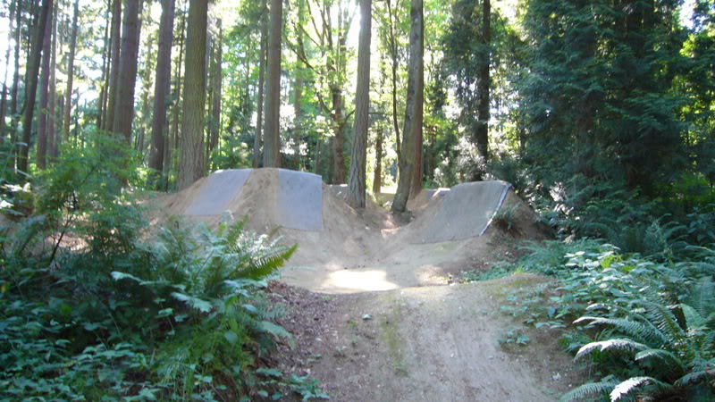 136.jpg