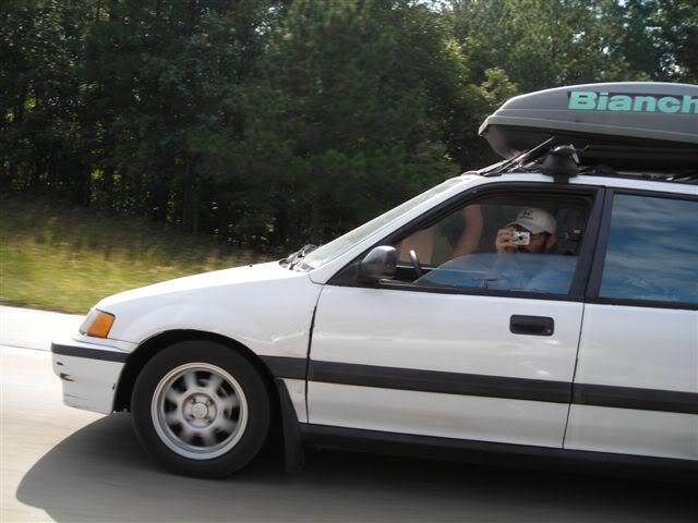 378.jpg