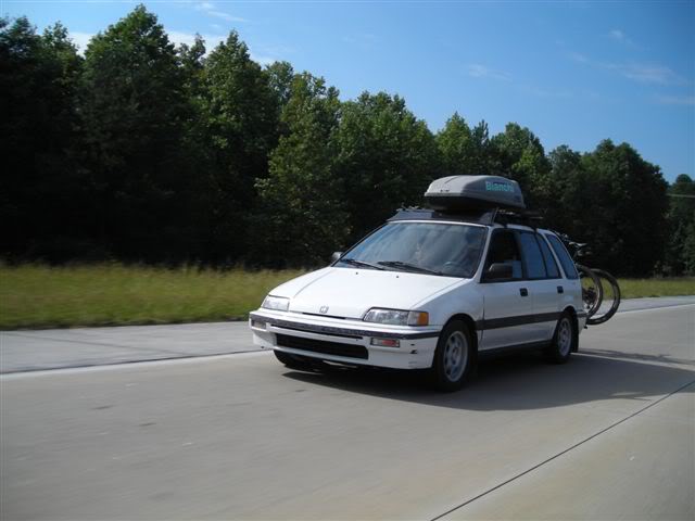379.jpg