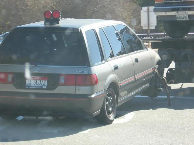 96.jpg