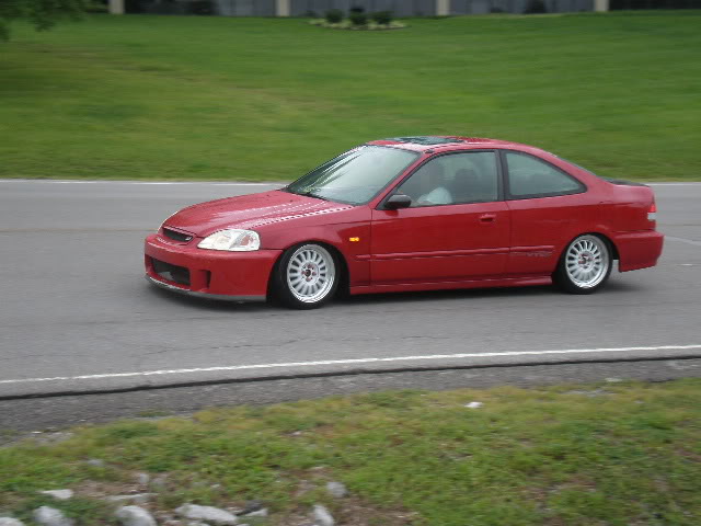 495.jpg