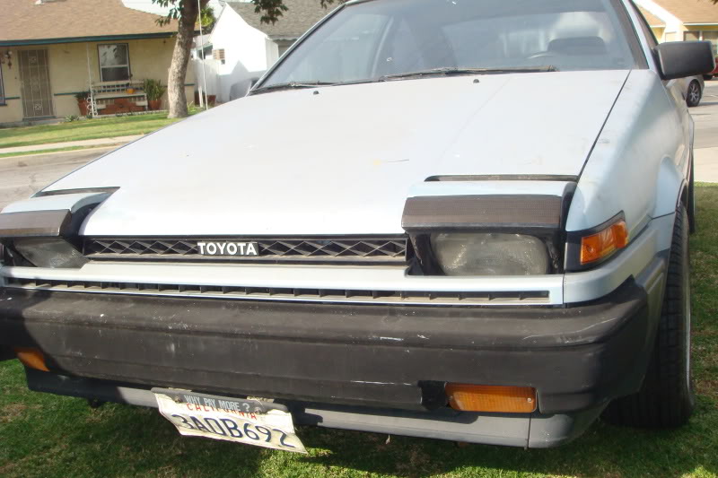 175.jpg
