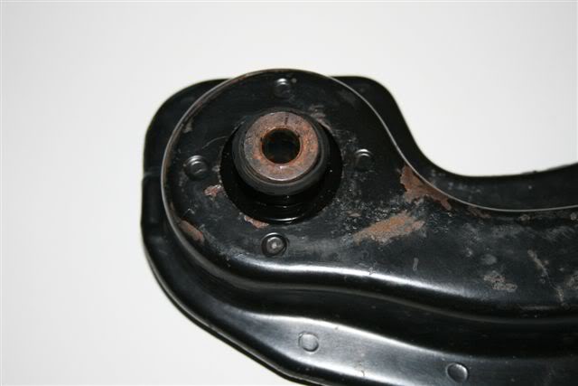 645.jpg