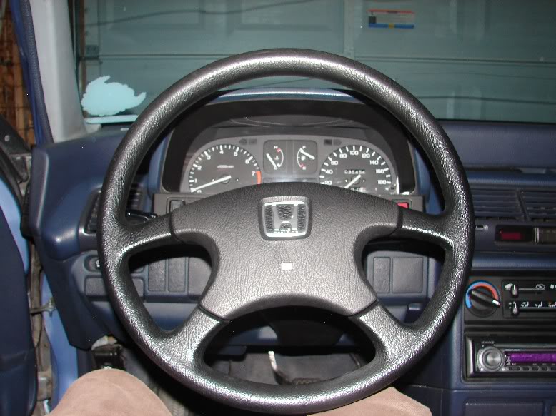 736.jpg