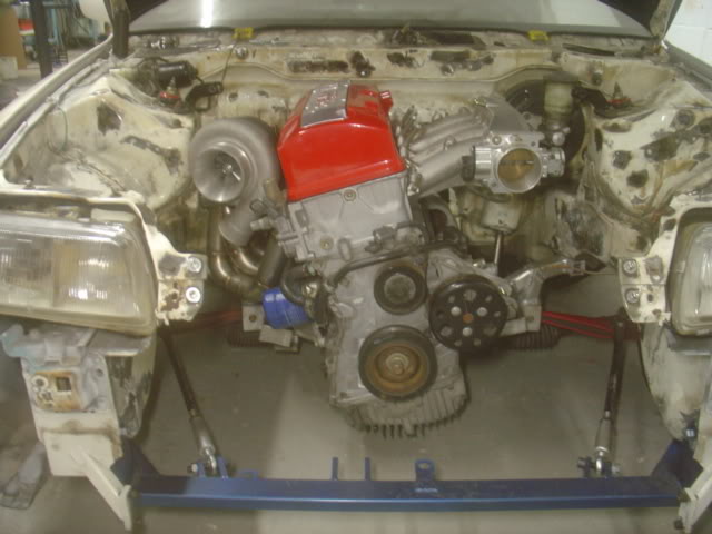 258.jpg