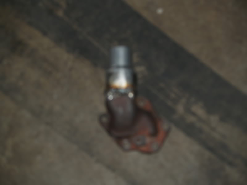 356.jpg
