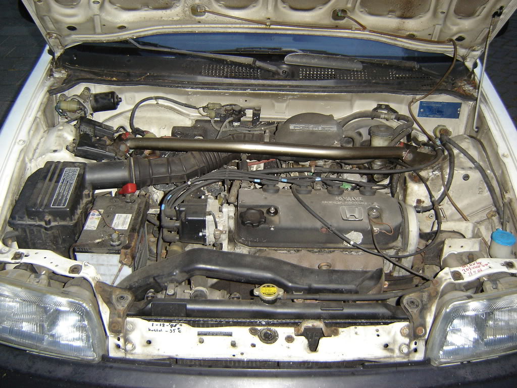 450.jpg