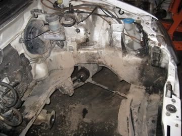 196.jpg