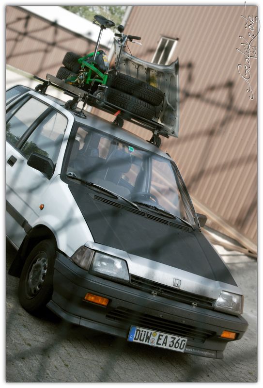 281.jpg