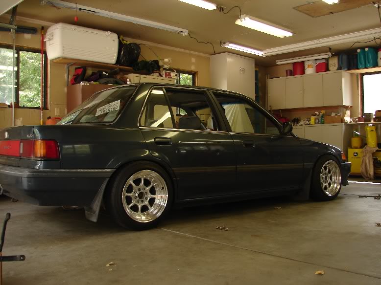 484.jpg