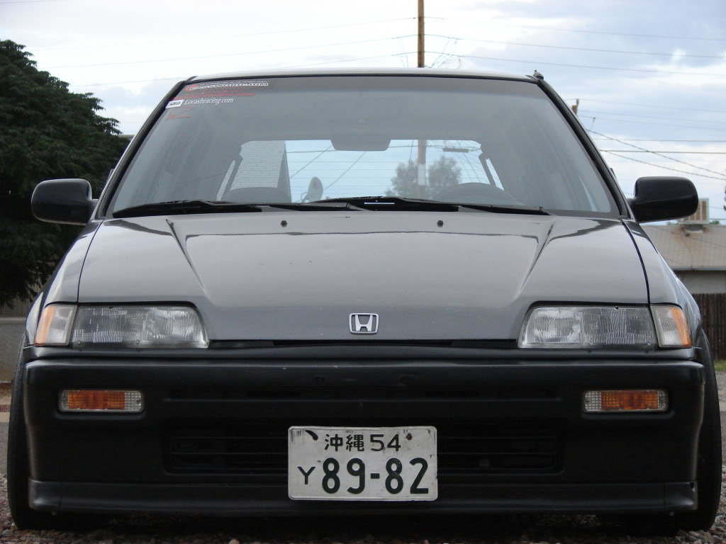 547.jpg