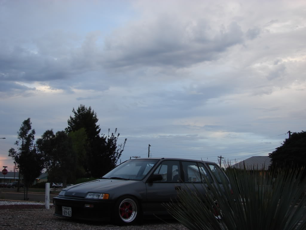 548.jpg