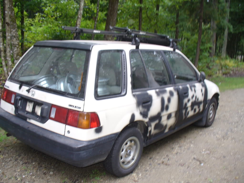 575.jpg