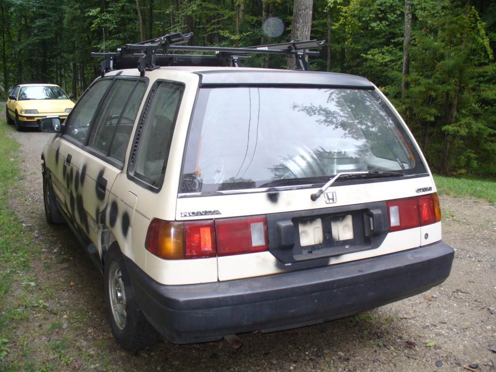 576.jpg
