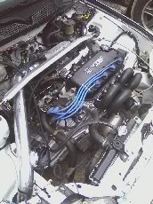 209.jpg