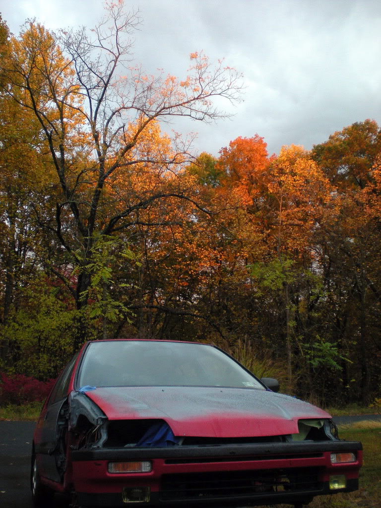 485.jpg