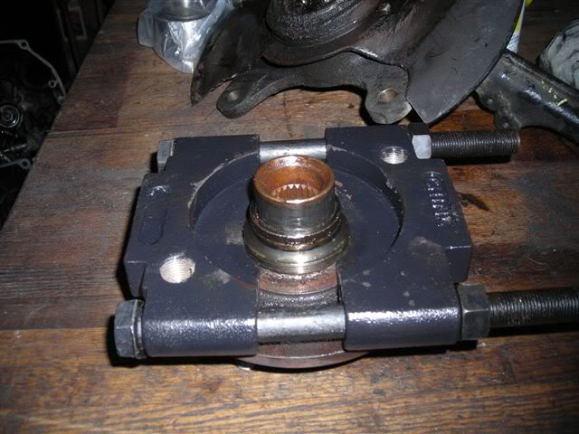 340.jpg
