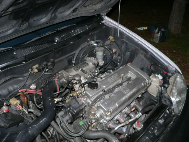 175.jpg