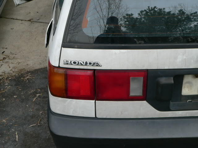254.jpg