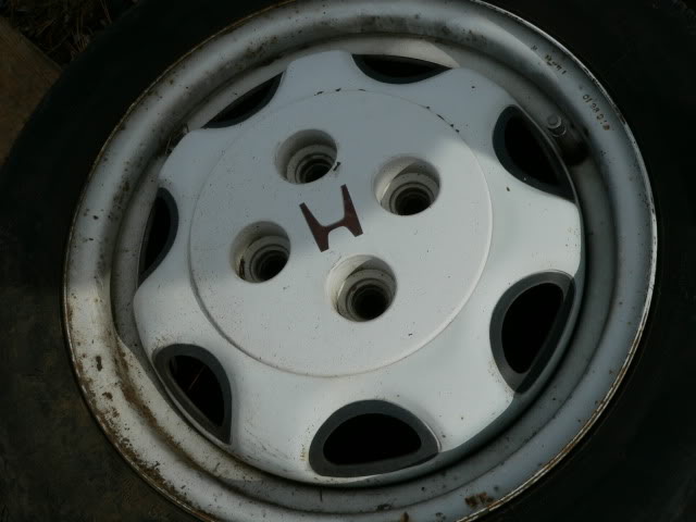 286.jpg