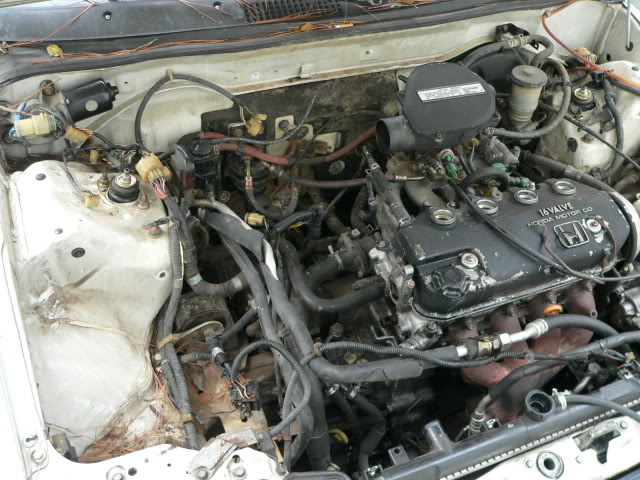 296.jpg