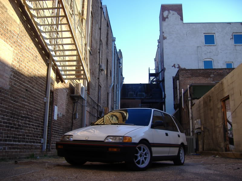293.jpg