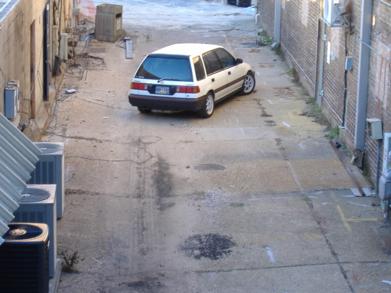 295.jpg