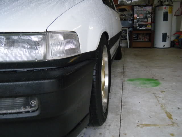 750.jpg