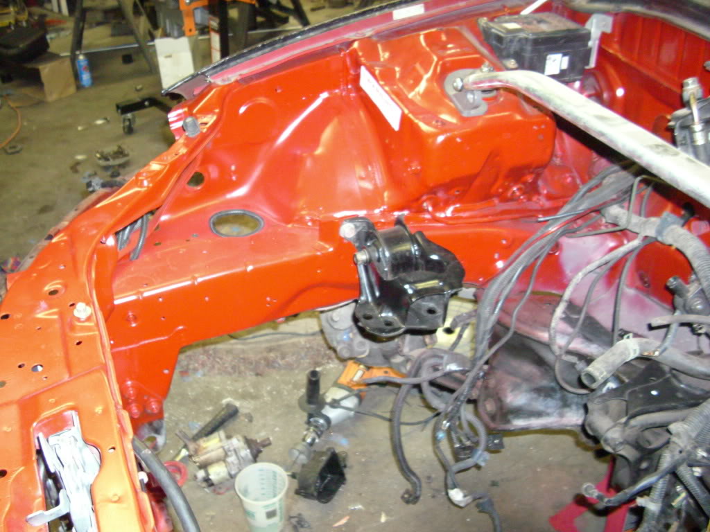 335.jpg