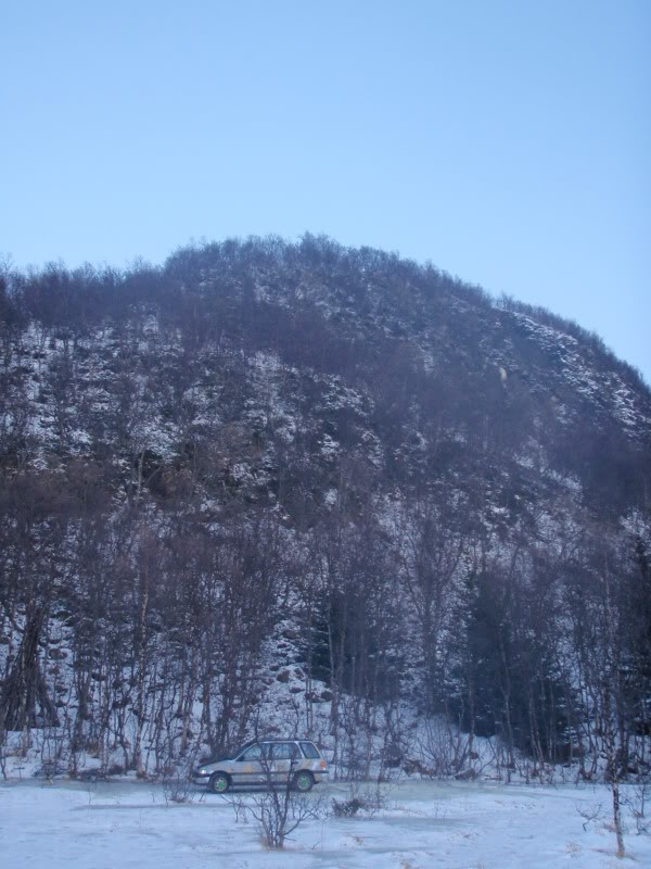 73.jpg