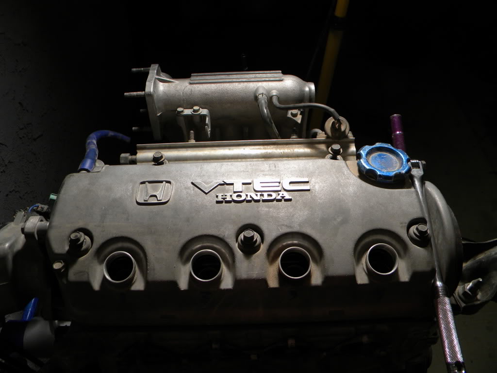 486.jpg
