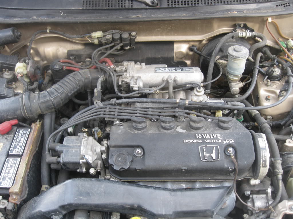 586.jpg