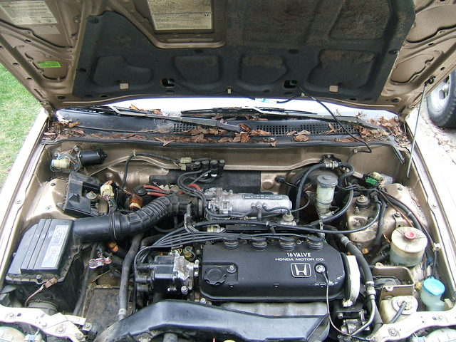 671.jpg