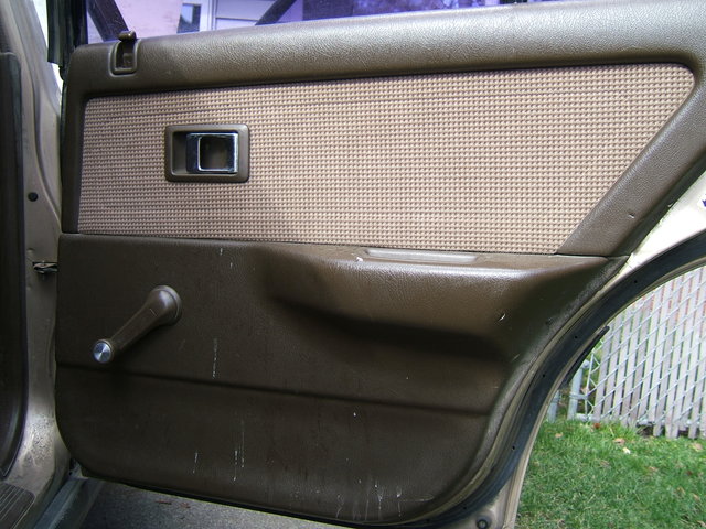685.jpg