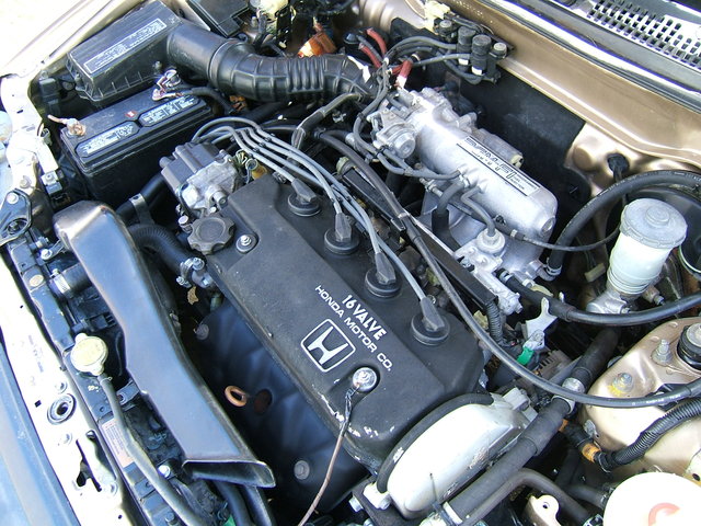 349.jpg