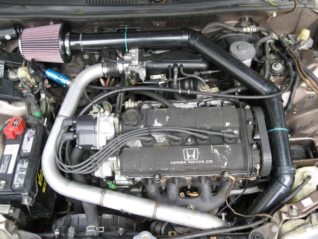 426.jpg