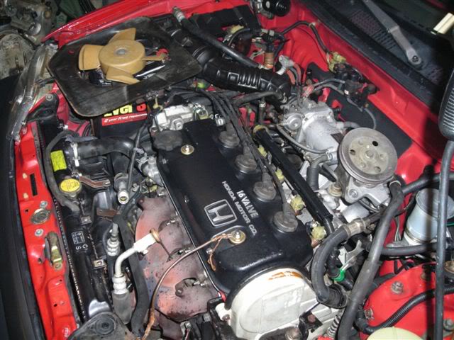895.jpg