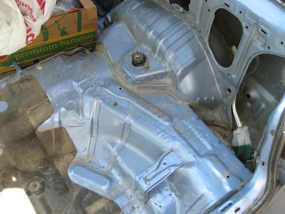 496.jpg
