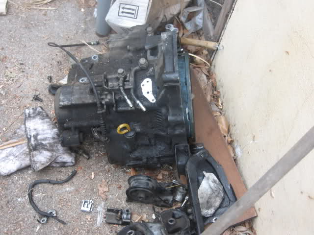 855.jpg
