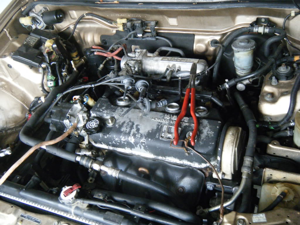 575.jpg