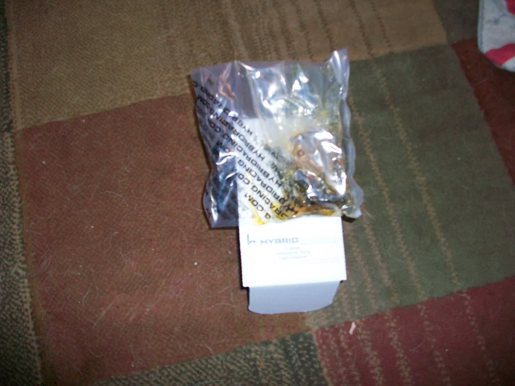 255.jpg